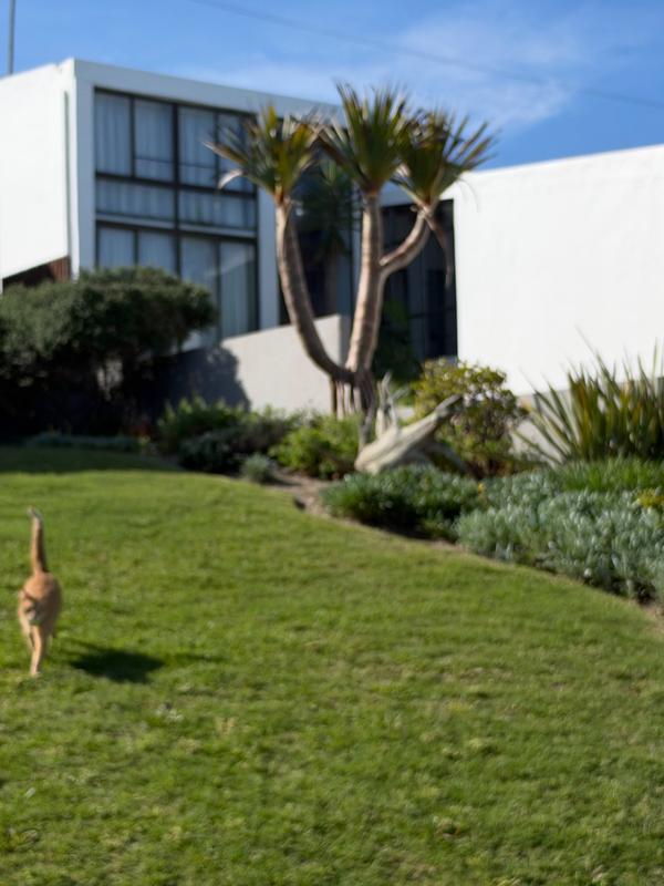 0 Bedroom Property for Sale in Reebok Western Cape